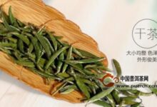 兰馨雀舌茶的种类-茗扬网
