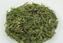 喝天柱剑毫茶对身体有什么好处-茗扬网