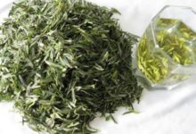 天柱剑毫的功效与作用 天柱剑毫的副作用-茗扬网