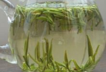 天柱剑毫如何泡 天柱剑毫的正确冲泡方法-茗扬网