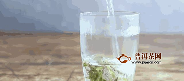 天柱剑毫冲泡方法步骤