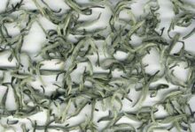 喝松阳银猴茶有什么好处,盘点松阳银猴茶的七大功效-茗扬网