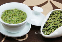 茶叶松阳银猴的作用与禁忌-茗扬网