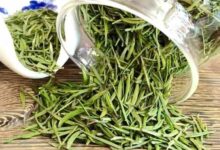 喝覃塘毛尖茶对身体有什么好处-茗扬网