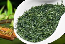 覃塘毛尖的功效与禁忌事项-茗扬网