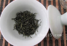 覃塘毛尖的功效与作用 覃塘毛尖的禁忌事项-茗扬网