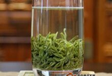 覃塘毛尖作用-茗扬网