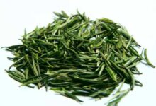 喝江山绿牡丹茶对身体有什么好处-茗扬网