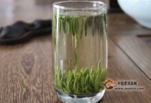 江山绿牡丹的品质特点-茗扬网