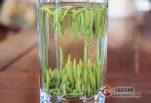 江山绿牡丹冲泡水温-茗扬网