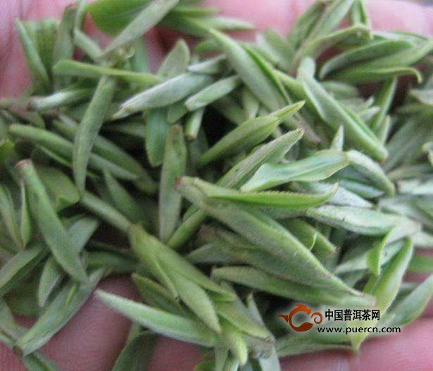 江山绿牡丹是什么茶