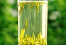 江山绿牡丹怎么泡 江山绿牡丹茶的冲泡方法-茗扬网