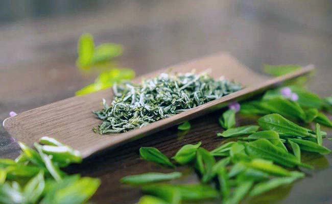 金奖惠明茶属于什么茶