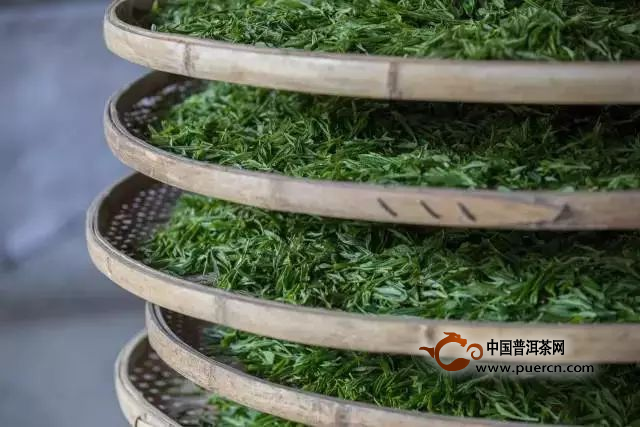 惠明茶的制作工序