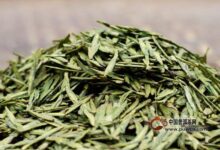 千岛玉叶选购方法-茗扬网