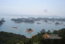 千岛玉叶的产地及特点-茗扬网