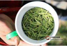 千岛玉叶口感怎么样-茗扬网