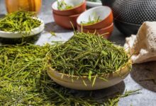 安化松针如何喝 安化松针的泡法教程-茗扬网