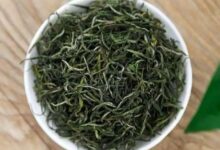 安化松针的特点 安化松针的泡法-茗扬网