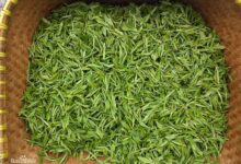 喝天目青顶茶对身体有什么好处-茗扬网