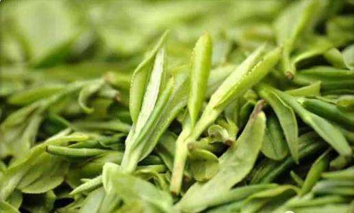 喝天目青顶茶对身体有什么好处