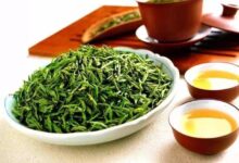 天目青顶的功效与禁忌事项-茗扬网