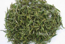 茶叶天目青顶的作用与禁忌-茗扬网
