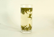 鸠坑毛尖是什么茶 鸠坑毛尖好喝吗-茗扬网