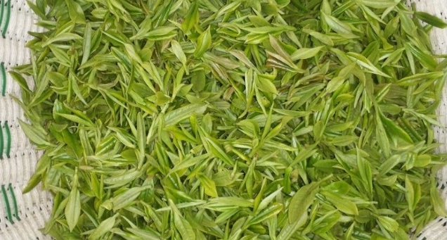 鸠坑毛尖是什么茶