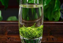 鸠坑毛尖怎么泡-茗扬网