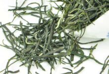 鸠坑毛尖的冲泡方法-茗扬网