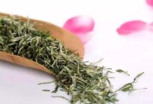 雁荡毛峰的功效与禁忌事项-茗扬网