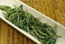 雁荡毛峰怎么样-茗扬网