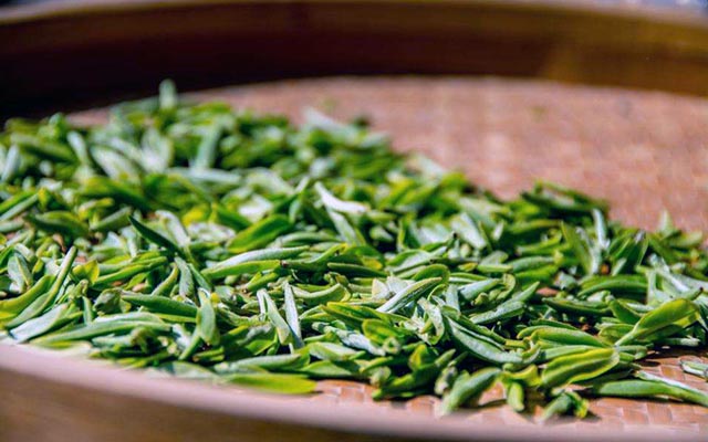 江西婺源产什么茶