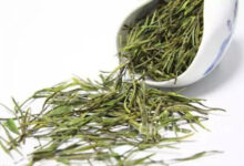 婺源茗眉的功效与作用 婺源茗眉的泡法-茗扬网