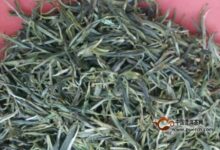 婺源茗眉怎么保存-茗扬网