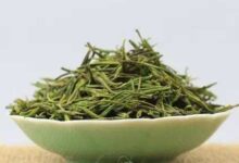 普陀佛茶的功效与禁忌事项-茗扬网