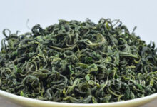 普陀佛茶的功效与作用 普陀佛茶的禁忌事项-茗扬网