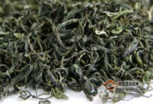 普陀佛茶的作用-茗扬网