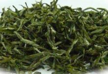 喝仙人掌茶对身体有什么好处-茗扬网