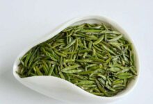 喝仙人掌茶有什么好处，盘点仙人掌茶的八大功效-茗扬网