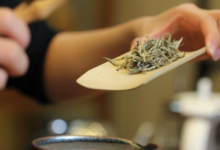 仙人掌茶怎么做成 有什么用-茗扬网