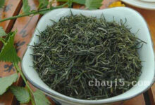 仙人掌茶的功效与作用 仙人掌茶什么时候喝最好-茗扬网