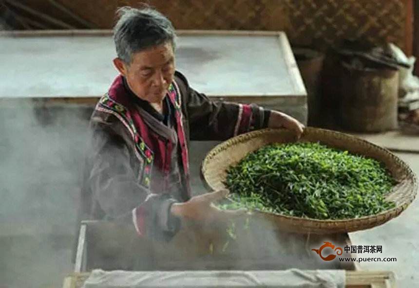 仙人掌茶的制茶工艺