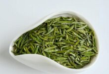 仙人掌茶怎么做 仙人掌茶的正确做法教程-茗扬网