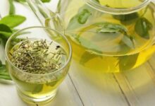 仙人掌茶的功效与作用 仙人掌茶的禁忌-茗扬网