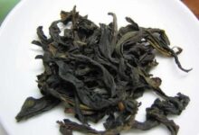 仙人掌茶怎么做 仙人掌茶的正确做法-茗扬网