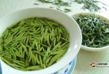 高桥银峰功效与禁忌-茗扬网