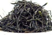 连云港花果山云雾茶介绍-茗扬网