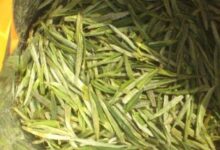 花果山云雾茶的功效与禁忌事项-茗扬网